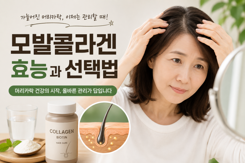 모발콜라겐 효능