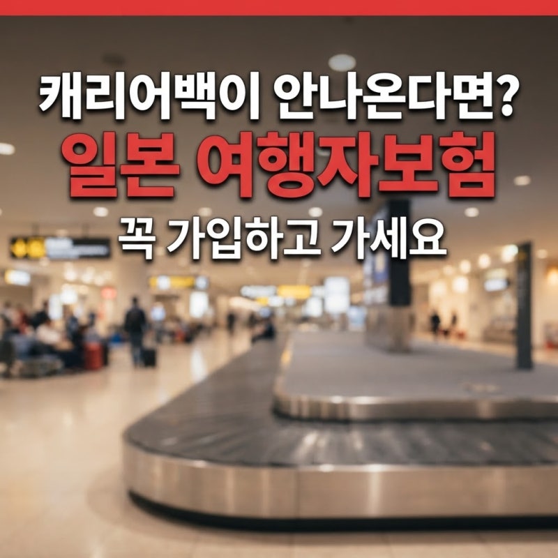 일본 여행갔는데 캐리어백이 안나온다? 여행자보험 여기서 비교해보고, 꼭 가입하고가요