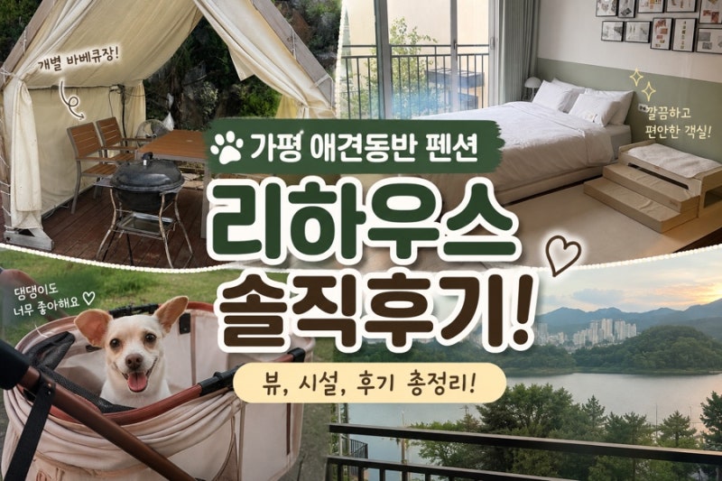 가평춘천 애견동반 펜션 추천｜리하우스 펜션 그린룸 내돈내산 솔직후기