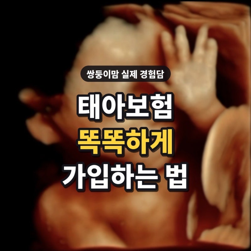 태아보험 3번 거절당하고 알았다 | 똑똑하게 가입하는 법