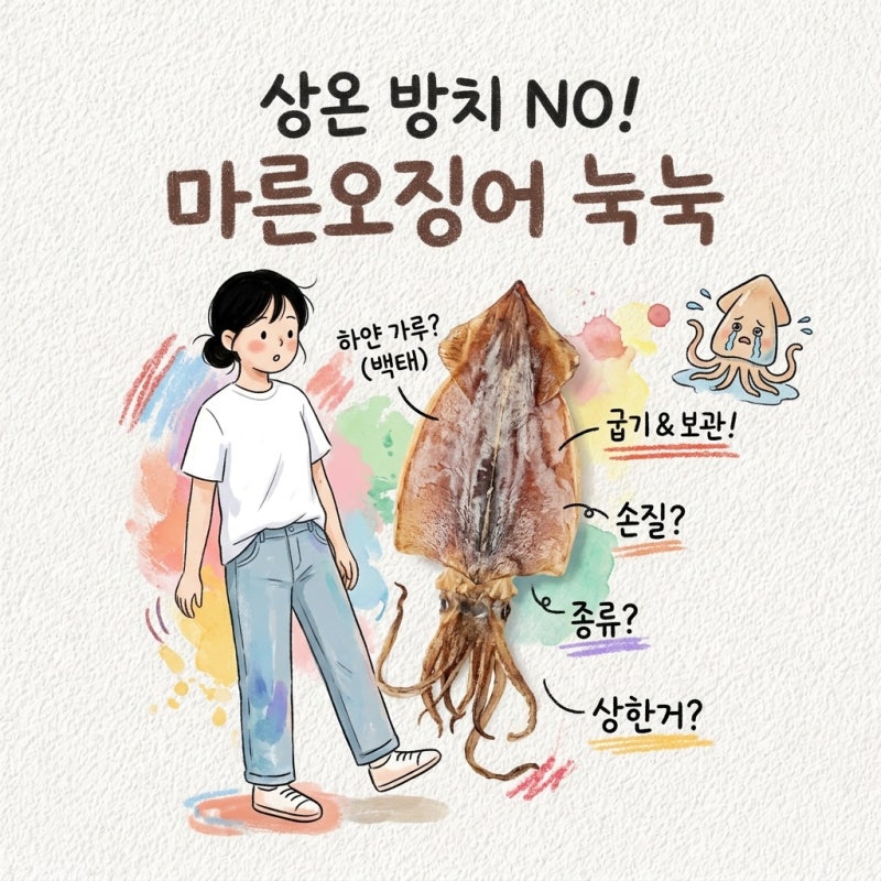 마른오징어 보관법 굽는법 손질 종류 차이 먹는법 상한거 백태