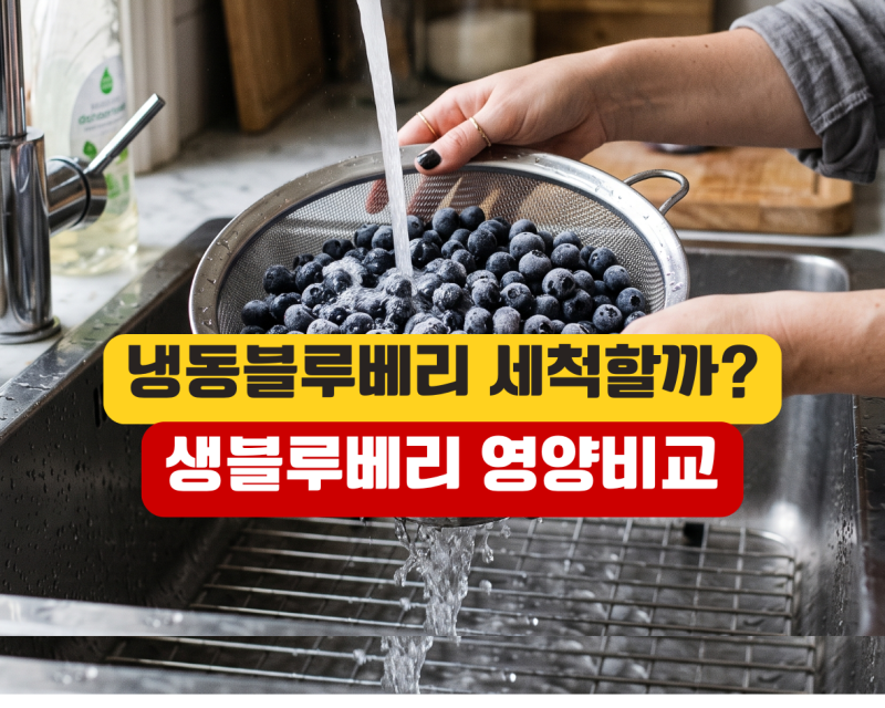 냉동 블루베리 세척해도 될까? 효능 먹는방법 칼로리 혈당