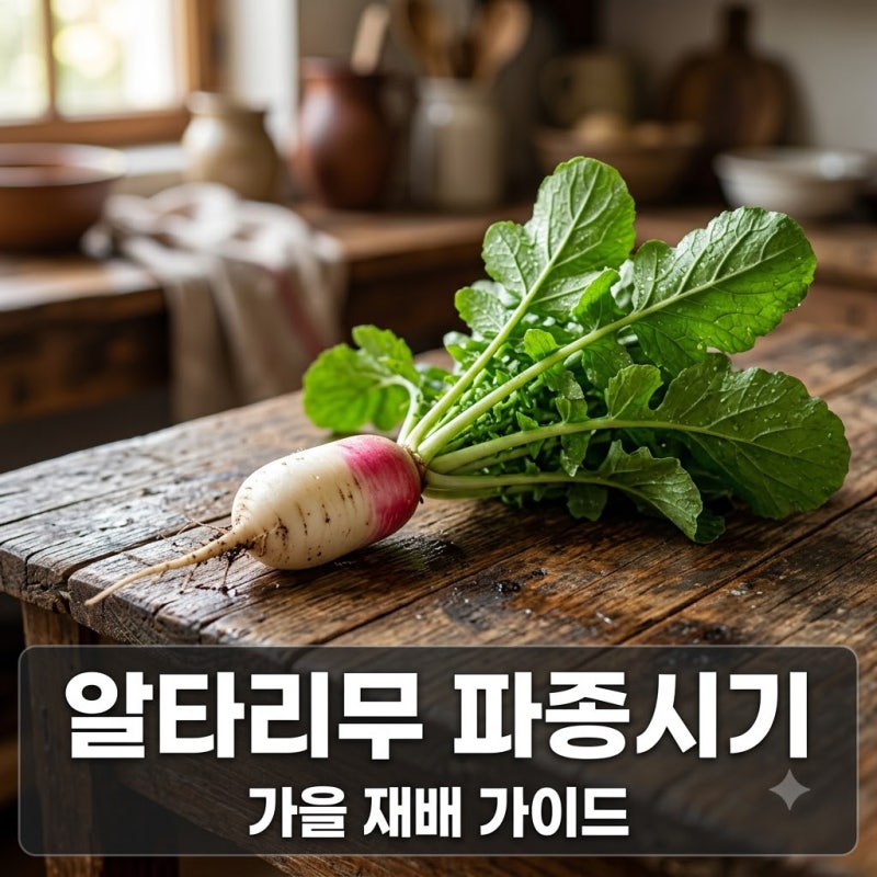 알타리무 파종시기 언제일까? 가을 총각무 심는 시기와 재배 요령