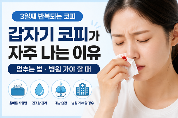 갑자기 코피가 자주 나는 이유｜3일째 반복되는 코피, 멈추는 법과 병원 가야 할 때