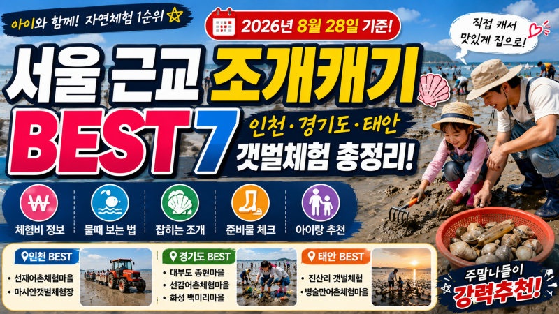 서울 근교 조개캐기 BEST 7｜인천·경기도·태안 갯벌체험 가격·물때·준비물 총정리