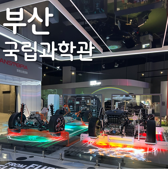 2026 부산 국립부산과학관 나들이 (상설전시관. 새싹누리관.푸드코트.기차운행중단)