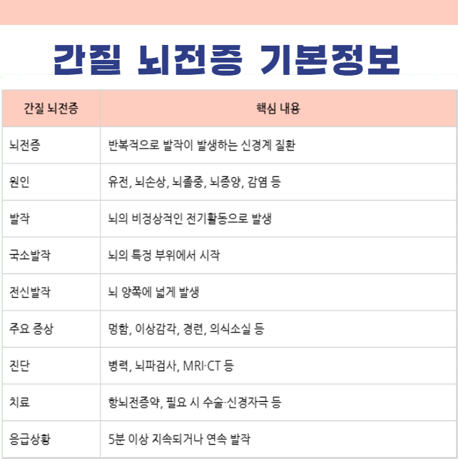 간질 뇌전증 기본정보