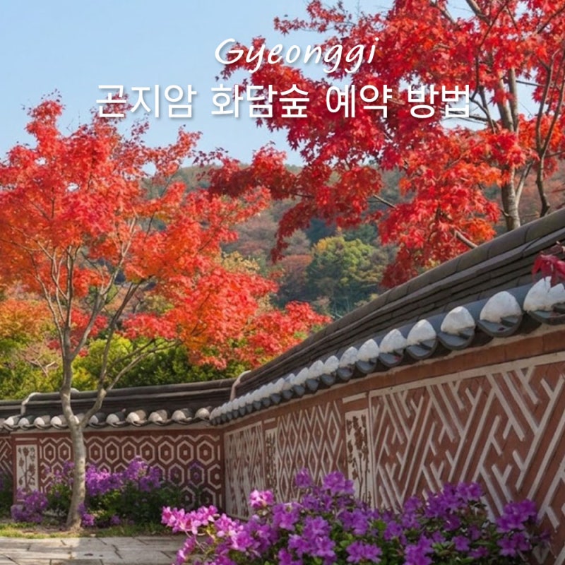 경기도 광주 가볼만한곳! 곤지암 화담숲 단풍 예약 예매 방법 (입장권 가격·입장료·모노레....