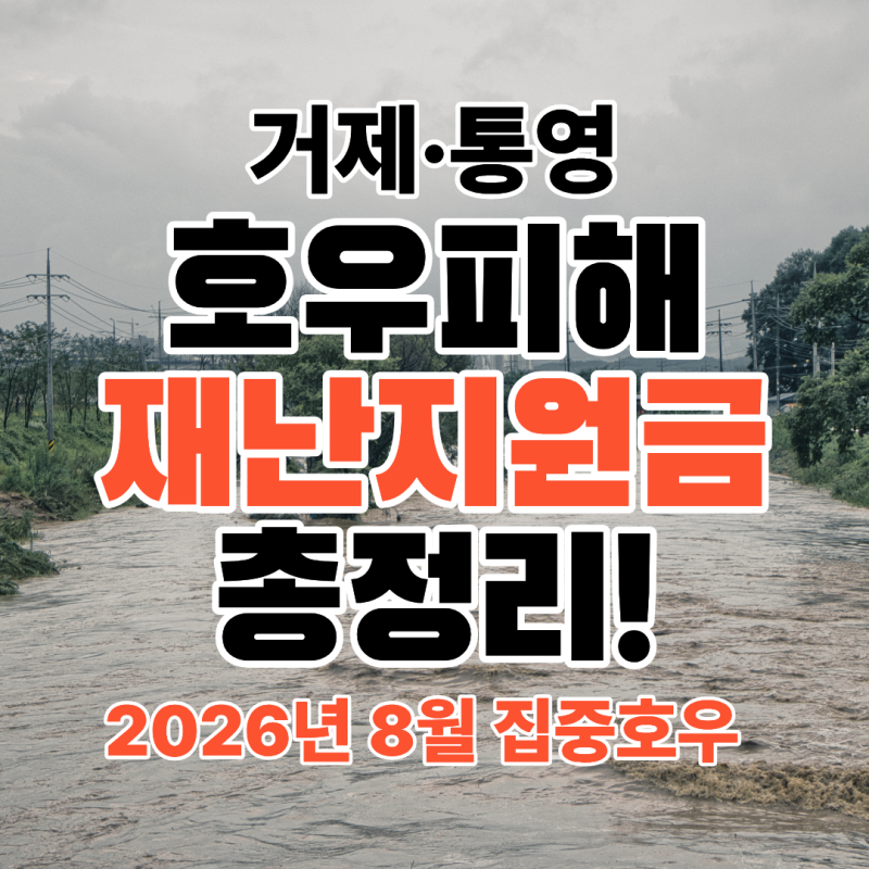 거제·통영 8월 집중호우 피해 재난지원금 신청 총정리｜주택 침수 350만원 · 소상공인 지원, ....