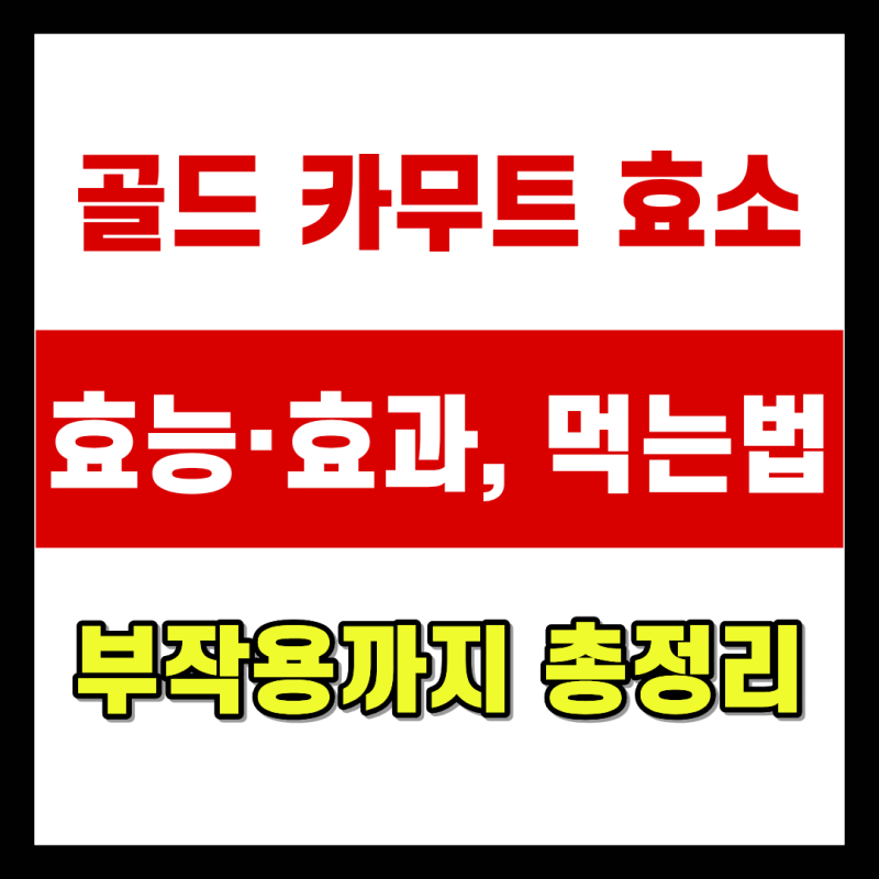 골드 카무트 효소 효능·효과, 먹는법, 부작용까지 총정리