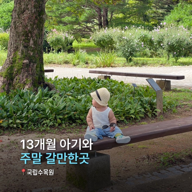 아이랑 갈만한 곳 포천 국립수목원 주차 예약 방법