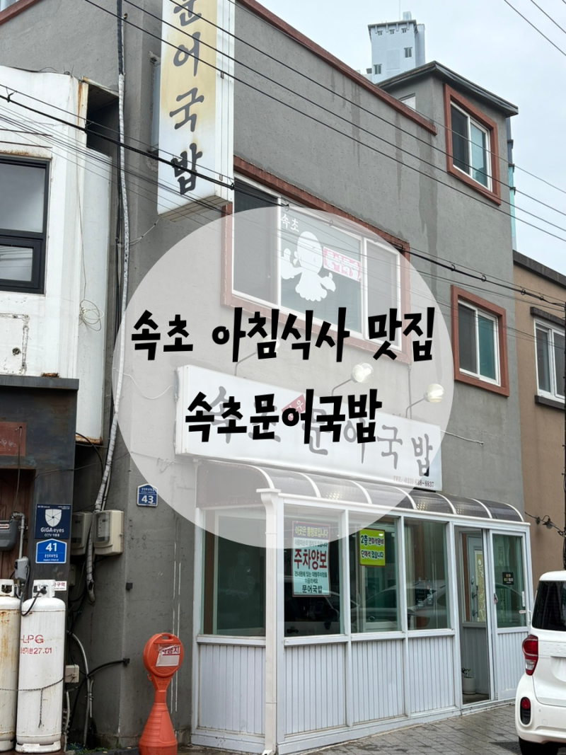 속초 아침식사 맛집 속초문어국밥 추천