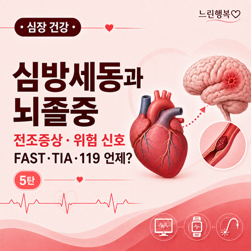 5탄. 심방세동과 뇌졸중｜전조증상과 위험 신호, 어떻게 예방할까요?