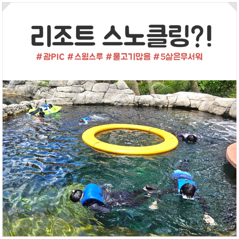 괌 PIC 스윔스루 어드벤처 후기｜9살·5살 아이와 스노클링 체험