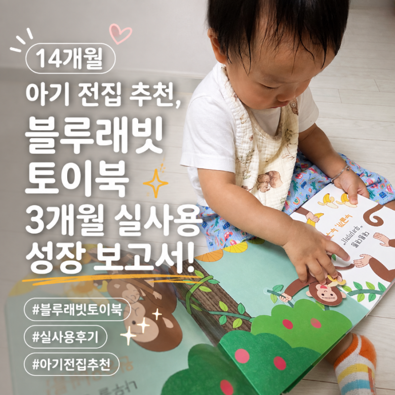 14개월 아기 전집 추천, '블루래빗 토이북' 3개월 실사용 성장 보고서!