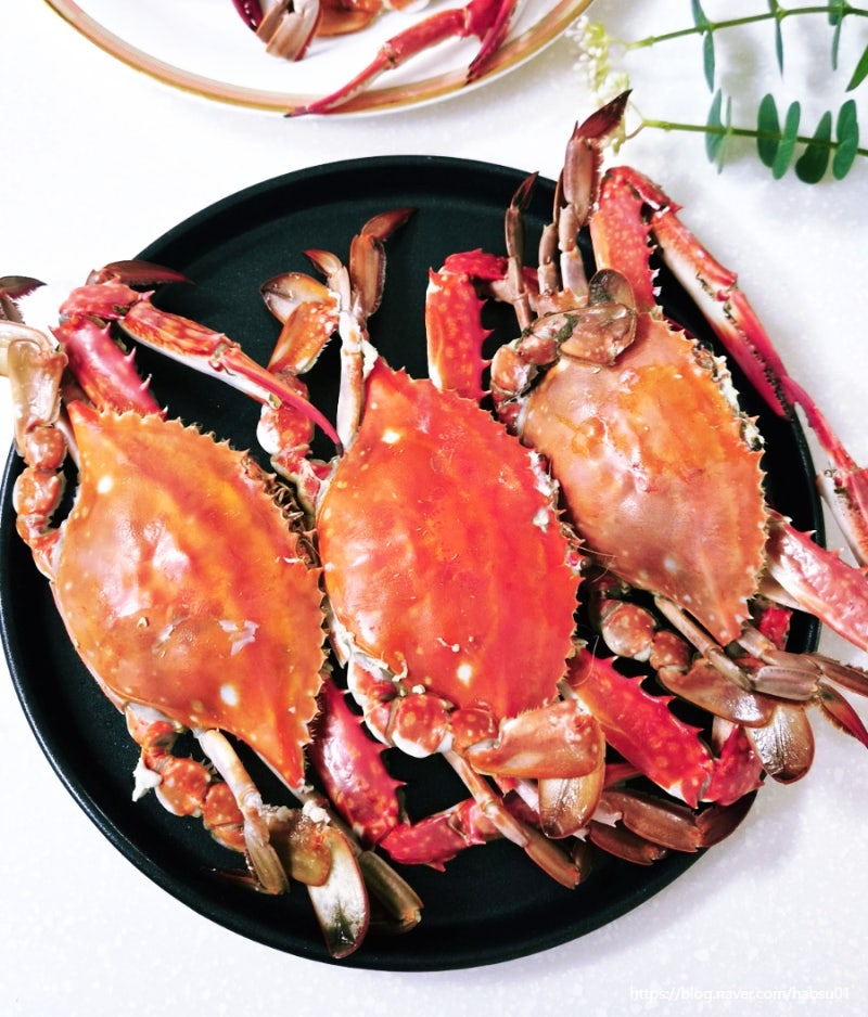 가을 꽃게 찌는 법 시간 톱밥 살아있는 생물 활꽃게 찜요리 손질법