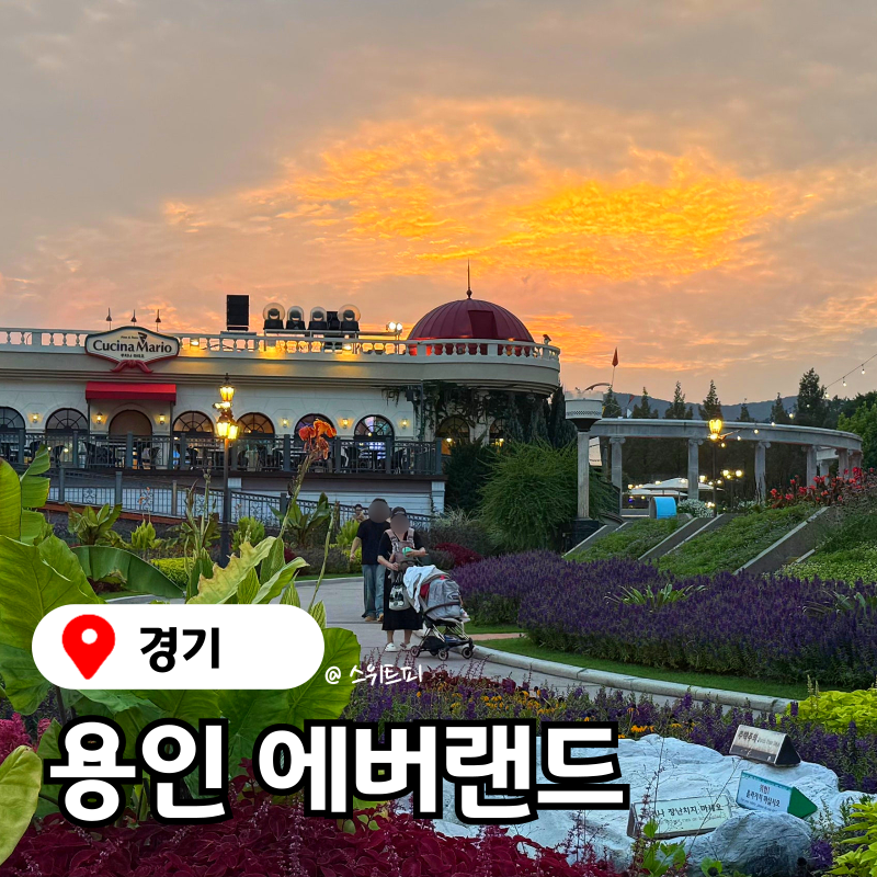 에버랜드 동물원 사파리 스페셜투어 로스트밸리 반딧불이 판다월드 야간개장 퍼레이드 불꽃....