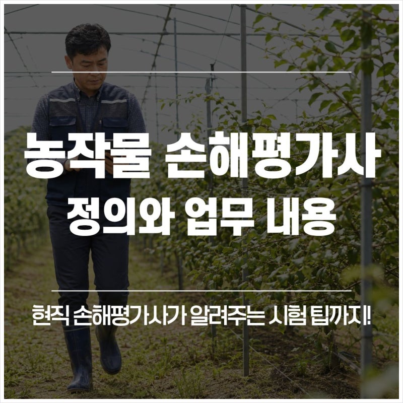 농작물 손해평가사 정의와 업무내용? 현직 손해평가사가 알려주는 시험 팁까지!