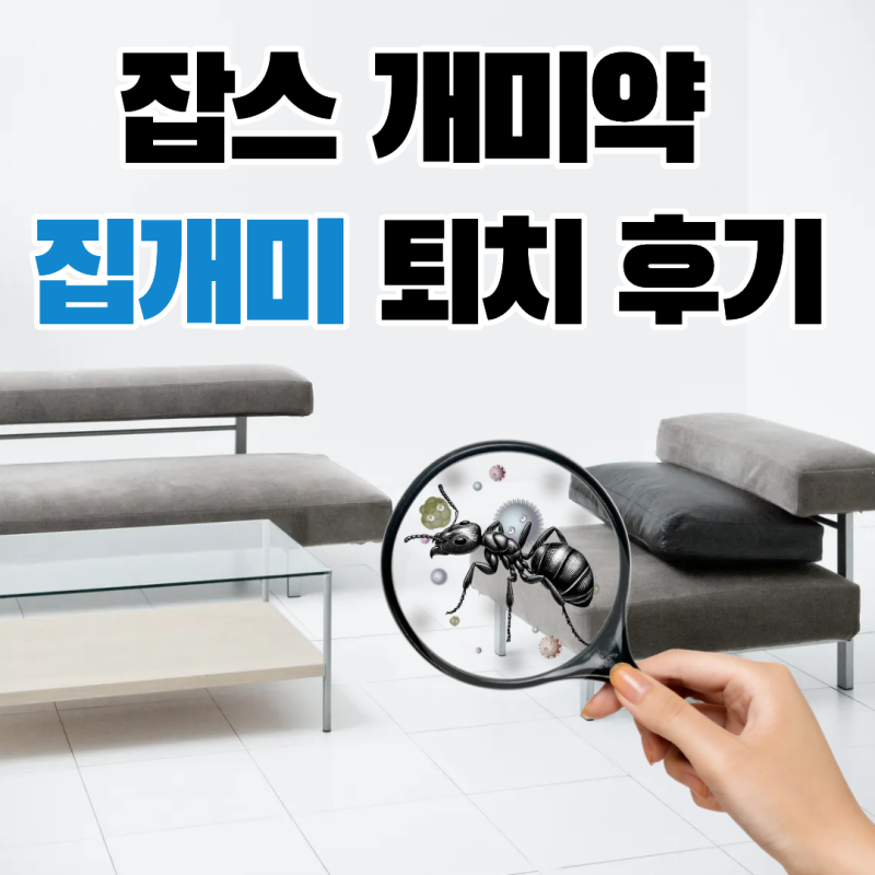 집 개미 퇴치 잡스 개미 약 후기, 창틀 실리콘 틈부터 외벽 크랙까지 찾아낸 일주일