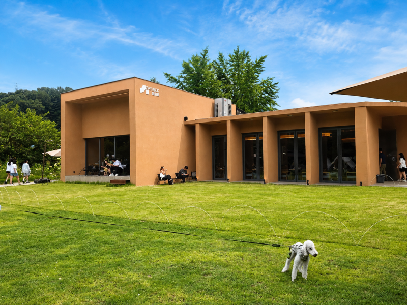 Pocheon Cafe Sayusaek | A Large Cafe in Gomori Where Dogs are Welcome Outdoors