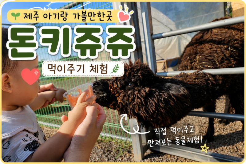 제주 아기랑 가볼만한곳 돈키쥬쥬 체험동물원 먹이주기 후기