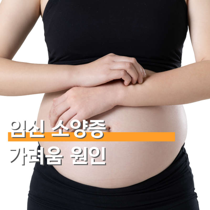 임신 소양증 초기 말기 가려움 원인 치료