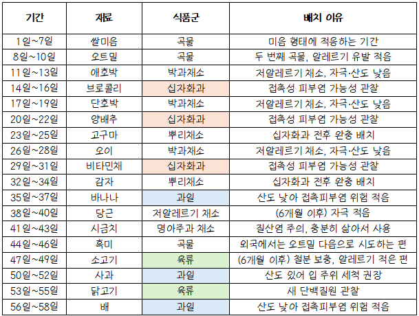 초기 이유식 식단표 | 알레르기 위험 식품군 고려한 알러지 테스트 순서