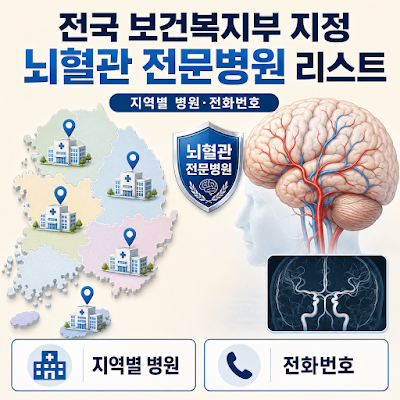 2026 전국 보건복지부 지정 뇌혈관 전문병원 리스트｜지역별 병원·전화번호