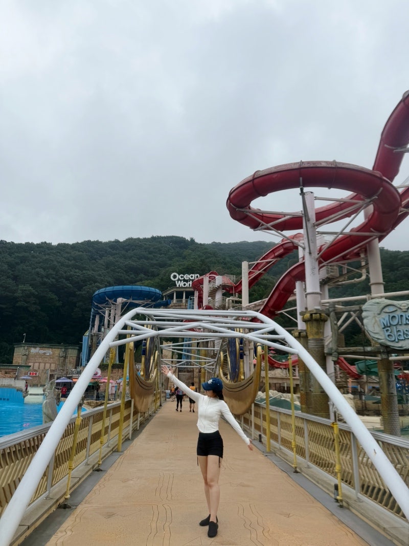 비오는날 홍천 비발디파크 오션월드 오픈런 여름막차 후기 어트랙션 꿀팁 공유