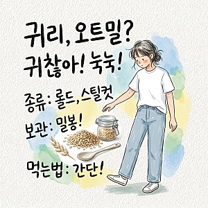 습기 차면 벌레 생기고 눅눅해짐 귀리 오트밀 차이 종류 보관법 먹는법 조리법 롤드 스틸컷 ....