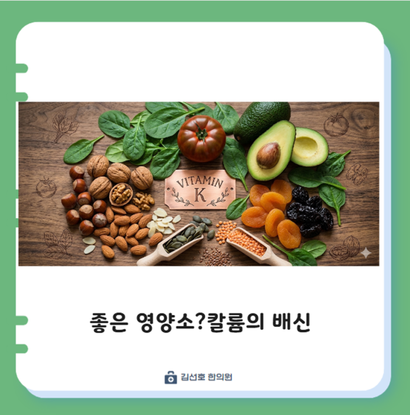 신부전 만성 콩팥병 CKD 환자의 칼륨관리고칼륨혈증Hyperkalemia과 저칼륨식단 가이드