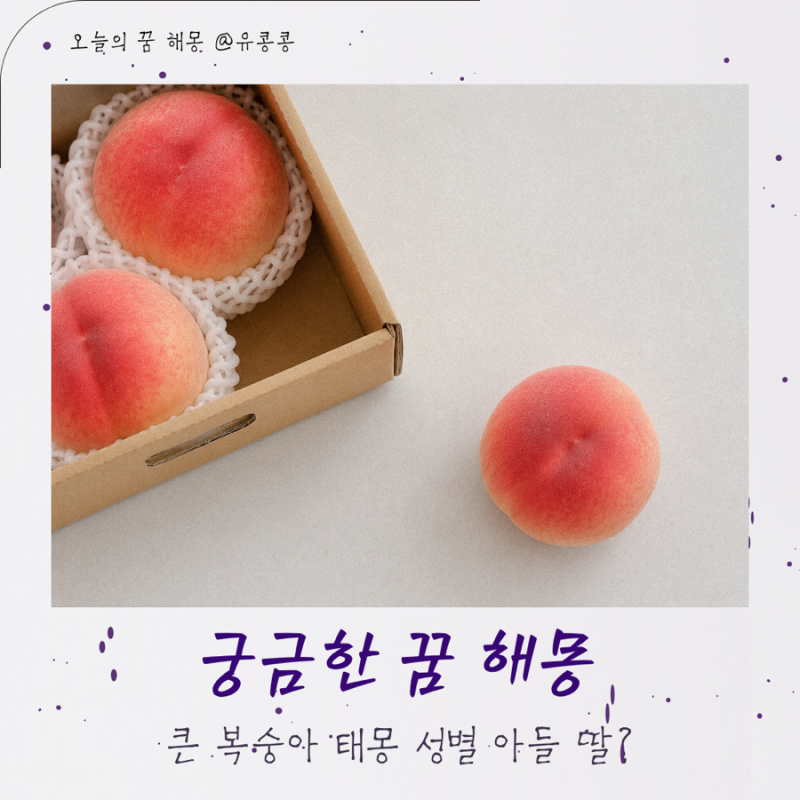 복숭아 태몽 성별 아들 딸? 큰 복숭아 꿈해몽