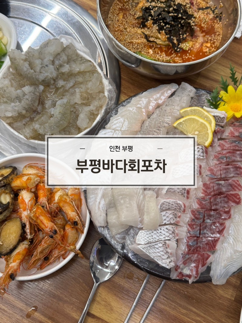 [인천 부평]부평바다회포차 솔직 후기 | 생새우회&제철모둠회