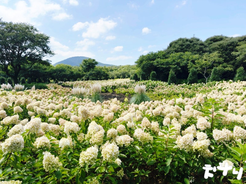 9월 제주도 가볼만한곳 꽃이 핀 제주 동쪽 동화마을 스튜디오 지브리전 입장료 입장시간