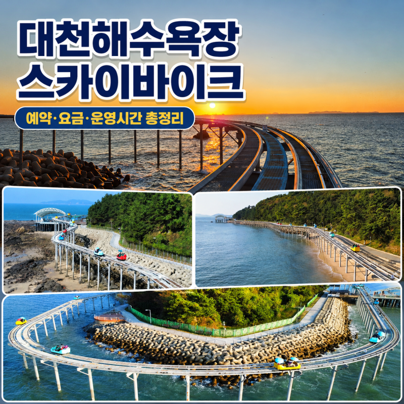 보령 대천해수욕장 스카이바이크예약·요금·운영시간부터 코스까지 여행 전 총정리