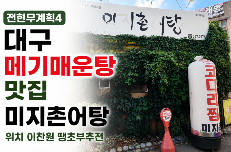전현무계획4 대구 메기매운탕 맛집 미지촌어탕 위치 이찬원 땡초부추전