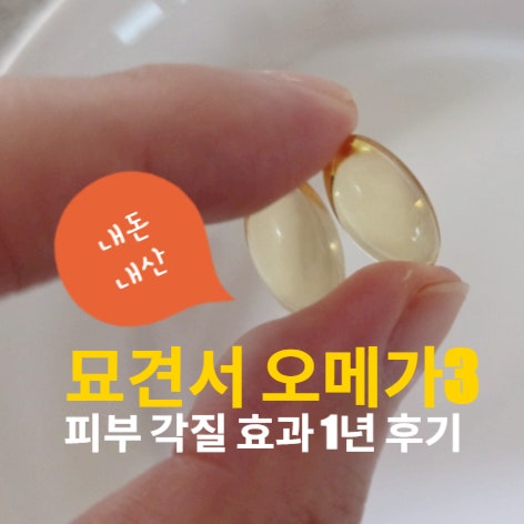 강아지 오메가3 내돈내산 추천, 묘견서 정착 이유 (마루 피지낭종 각질 극복기)