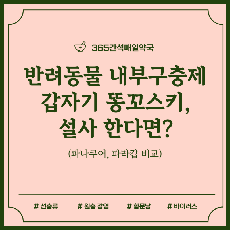 강아지 고양이 내부구충제 파나쿠어 파라캅, 갑자기 똥꼬스키 설사 한다면?