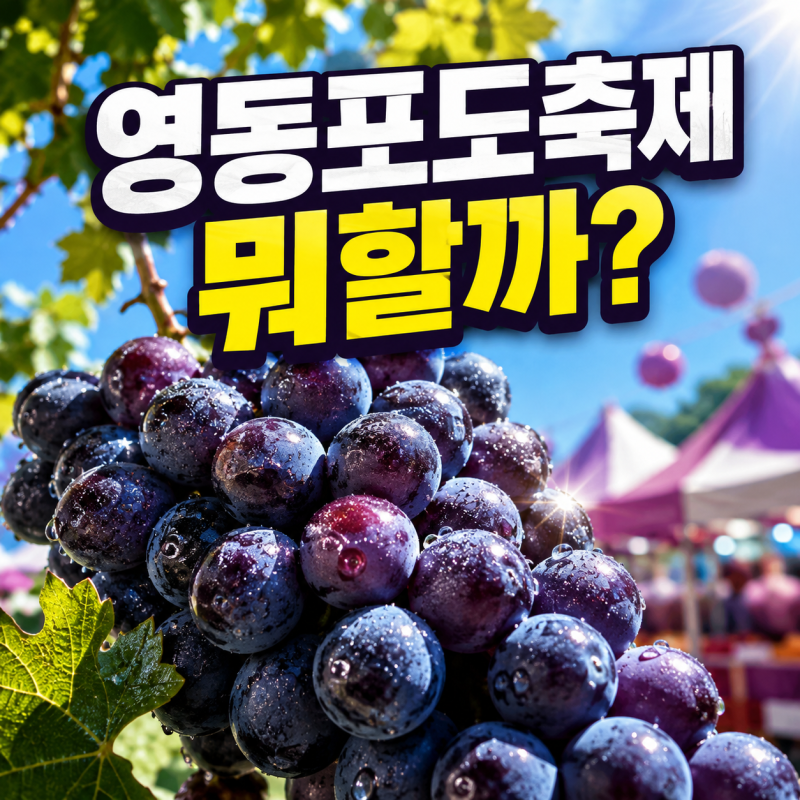 영동 포도축제 2026, 8월 30일까지 주차·가수 일정은?