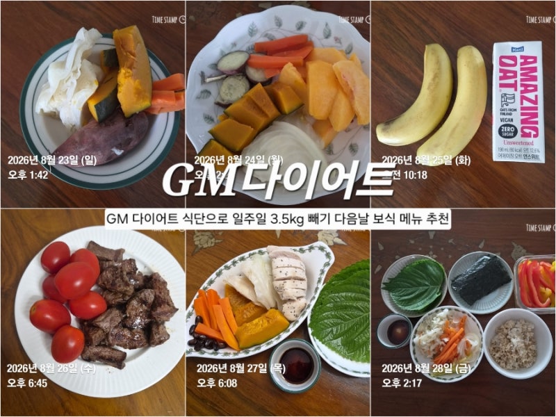 GM 다이어트 식단으로 일주일 3.9kg 빼기. 인바디 변화. 다음날 보식 메뉴 추천