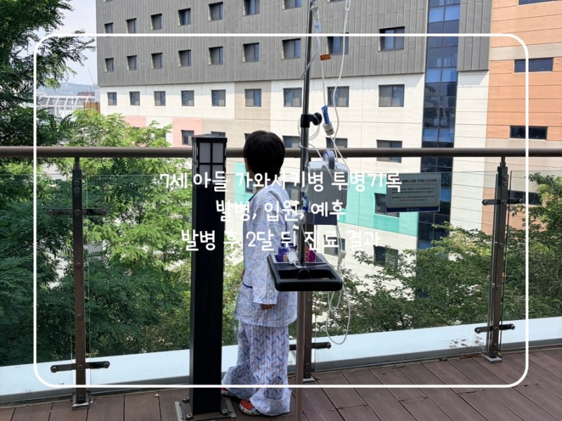 7세 아들 가와사키병 투병기록-발병, 한양대학교병원 입원, 예후, 발병 후 2달 뒤 진료결과