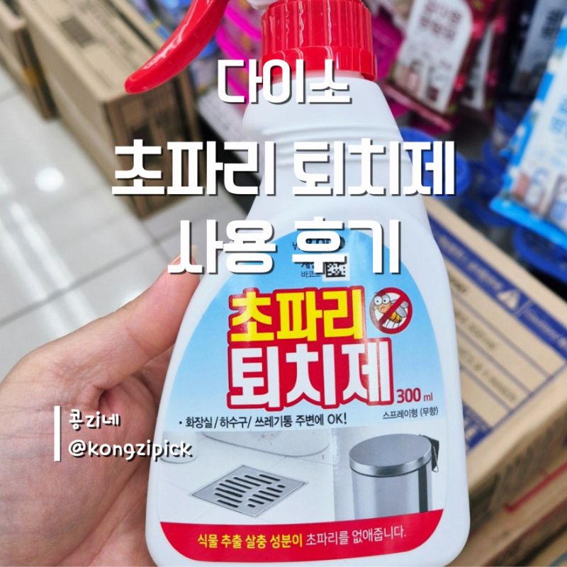 다이소 초파리 퇴치제 효과 있을까? 직접 써본 솔직 후기