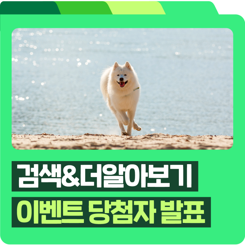 [당첨자 발표] DB손해보험 펫블리 반려견 보험, 반려동물 의료비 부담 DB손해보험 펫보험으로 ....