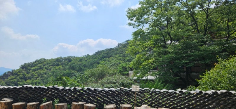 관악산 청계산 등산일지