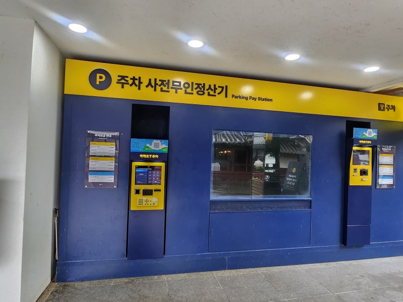 남이섬 반려견 동반 여행｜강아지와 가족여행, 여름 메타세쿼이아길까지
