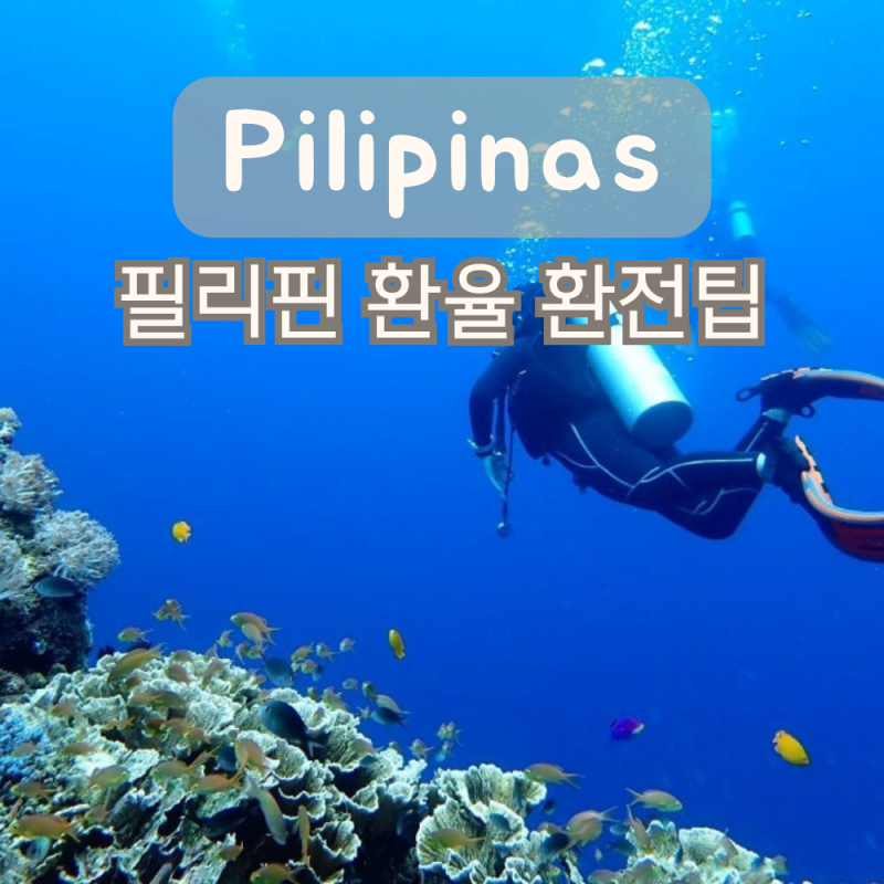 2026년 필리핀 페소 환율 얼마? 현재 환율부터 환전 팁까지 A to Z