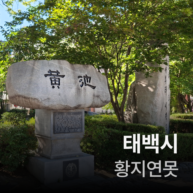 태백여행(낙동강발원지 황지연못)