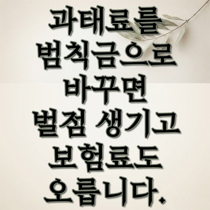 교통위반 과태료 범칙금 차이와 전환 시 벌점 자동차보험료 할증 기준 총정리
