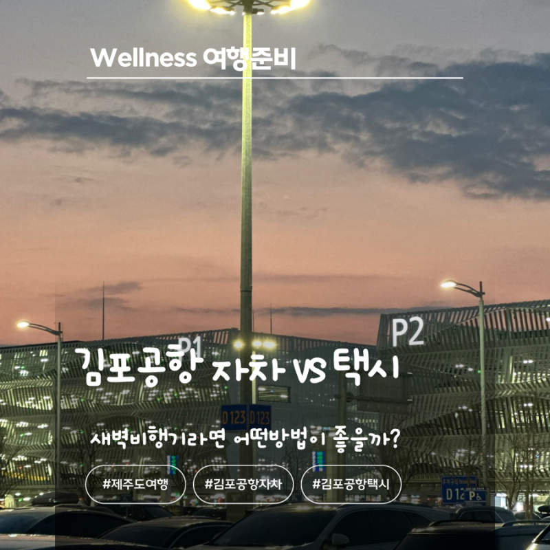 김포공항 자차 vs 택시 새벽 비행기라면 어떤 방법이 좋을까?