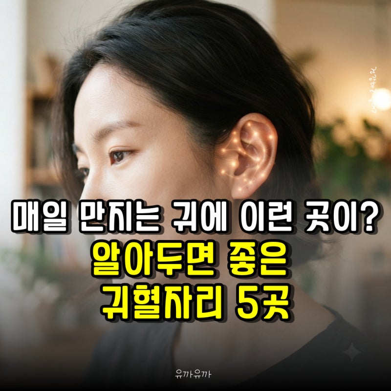 매일 만지는 귀에 이런 곳이? 알아두면 좋은 귀혈자리 5곳